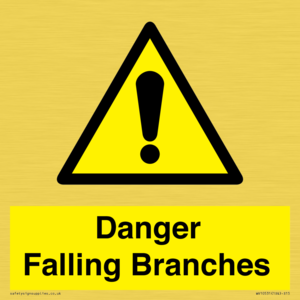 Danger Falling Branches